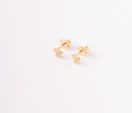 Topos Figura Estrella Circón - 5mm