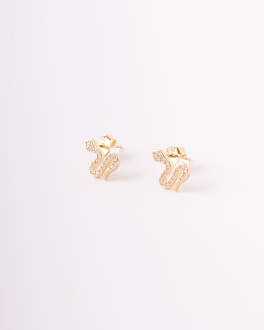 Topos Figura Serpiente