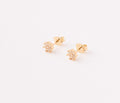 Topos Rosa Minis Con Circones - 5mm