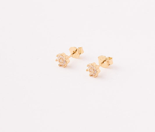 Topos Rosa Minis Con Circones - 5mm