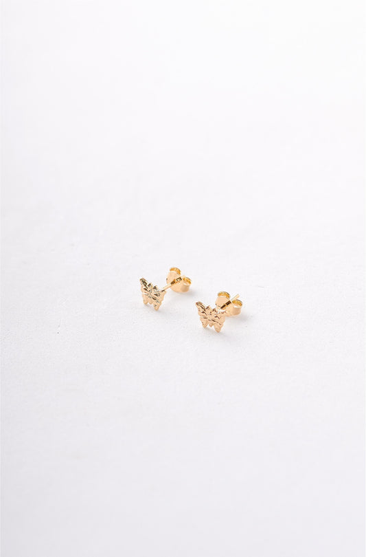 TOPOS MARIPOSA