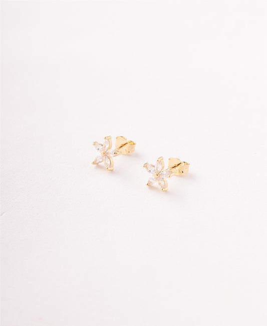 TOPOS FIGURA ESTRELLA CIRCONES - 9MM