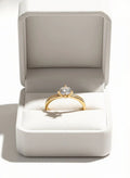 Anillo Aurora Shine Graduable