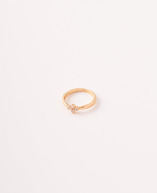 ANILLO ROSA CIRCONES