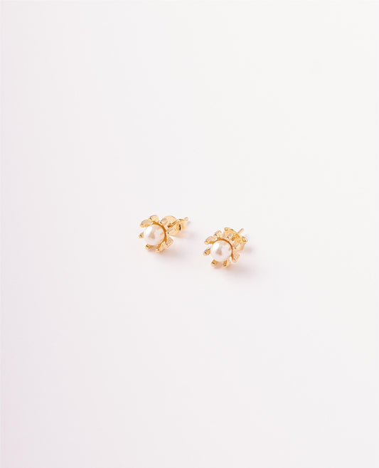 TOPOS SOL PERLA - 5MM
