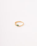 Anillo Serpiente