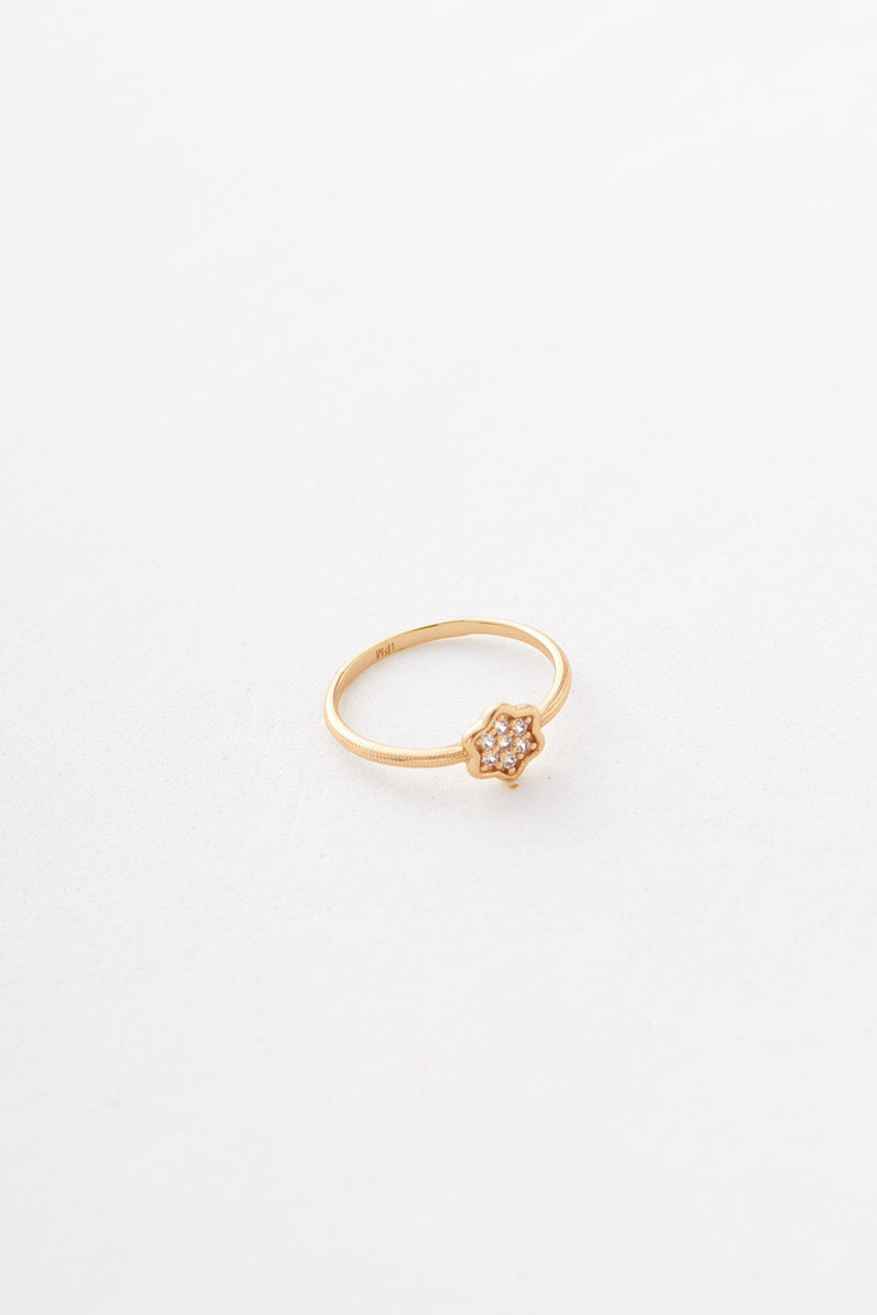 anillos