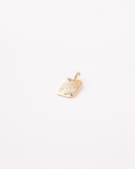 Dije Placa Virgen Milagrosa - 12mm x 21mm