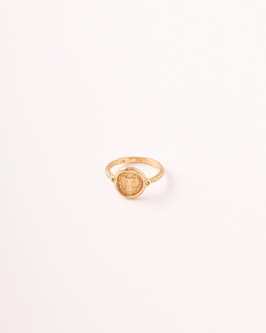 Anillo San Benito