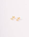 Topos Figura Tortuga - 4mm x 6mm