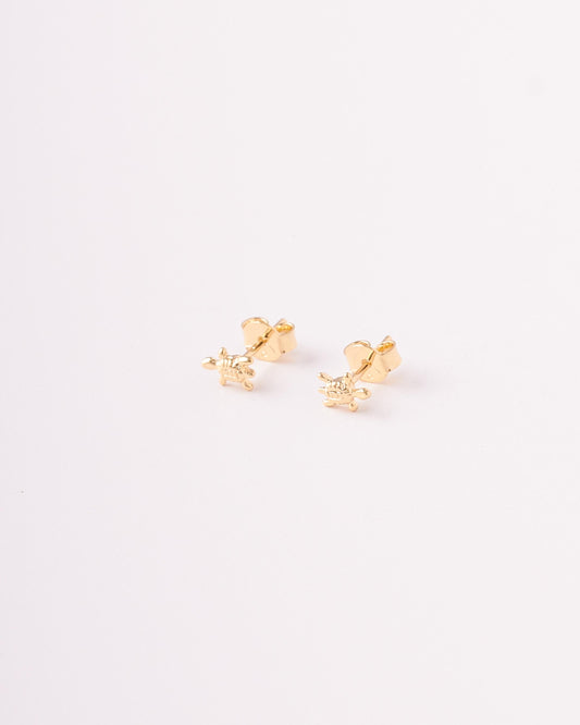Topos Figura Tortuga - 4mm x 6mm